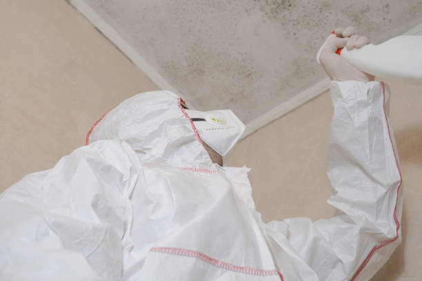 Best Crawl Space Mold Removal  in Boling, TX