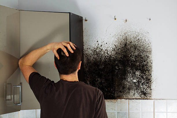 Best Local Mold Removal Service  in Boling, TX
