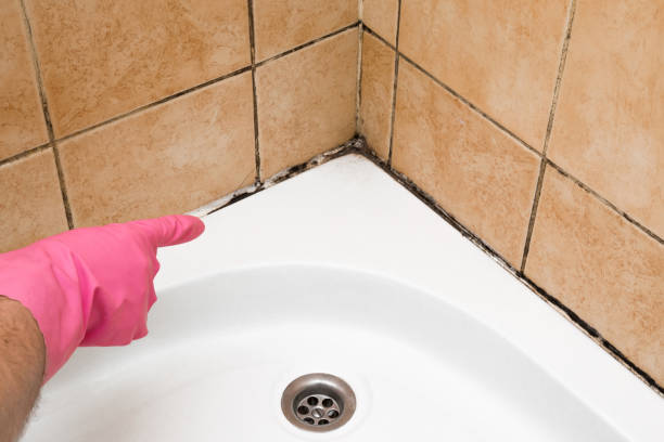 Best Mold Cleaning Services  in Boling, TX